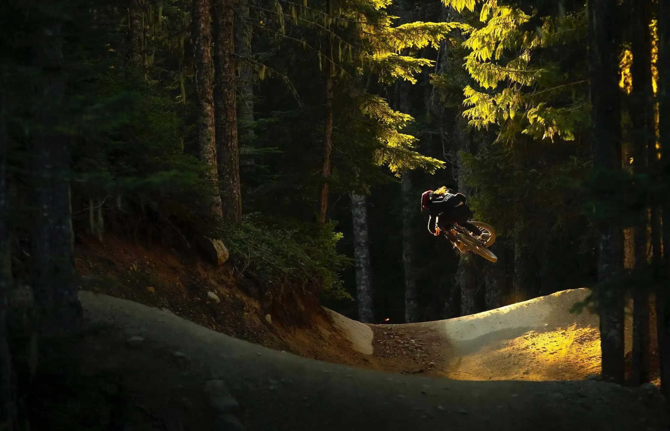 Norco bike in Canada forest